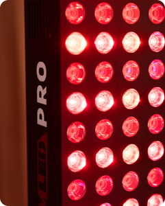 BIOMAX-PRO-GRANDE-+-GRANDE_4